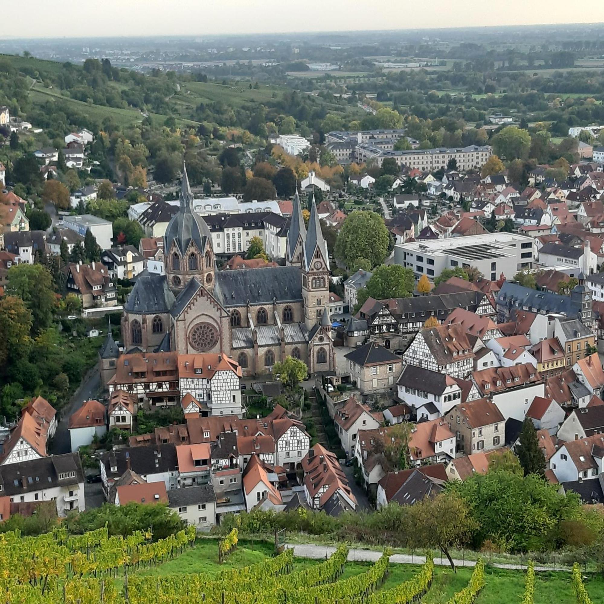 Ferienwohnung Zentrumsnah In Heppenheim Heppenheim  Bagian luar foto